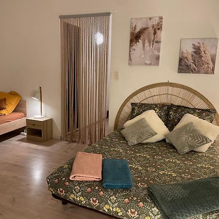 شقة T2 Plein Centre Au 1Er Etage Avec Parking Prive مييو المظهر الخارجي الصورة